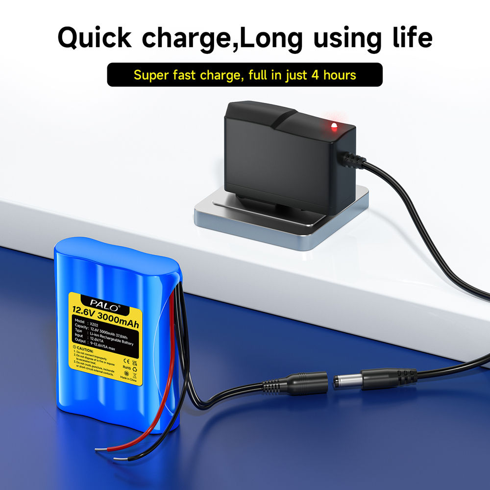 12.6V 3000mAh Rechargeable Bat - огляд і ціна Diy Boat Electronics
